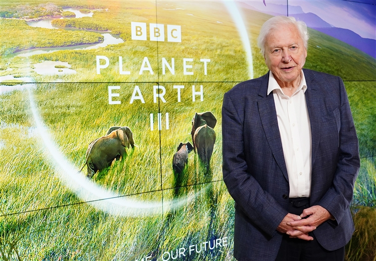 Sir David Attenborough à 100 ans