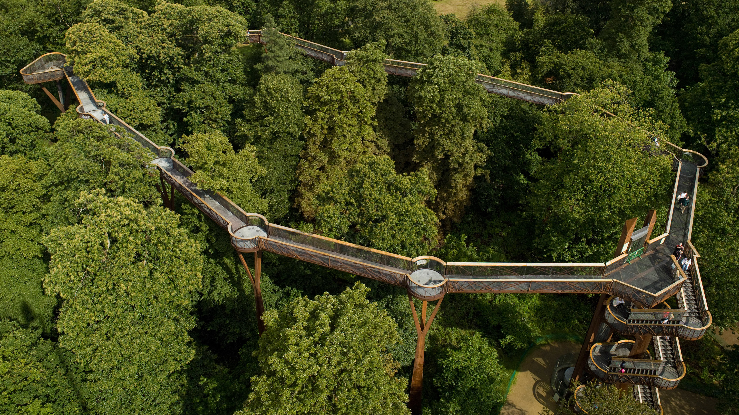 Kew Gardens tree top walkway