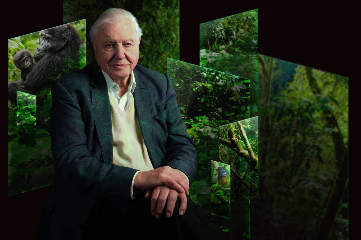 Sir David Attenborough a los 100 años