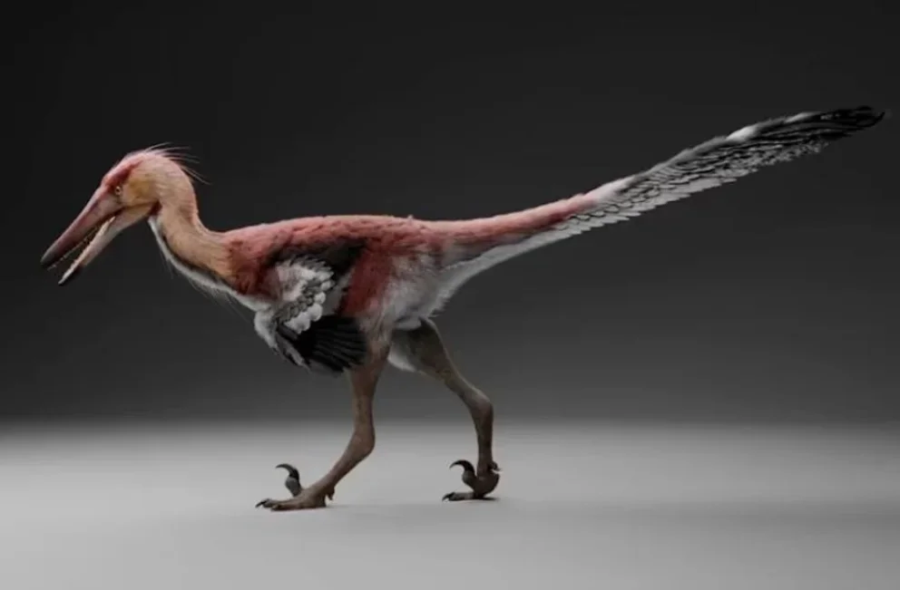 La nueva especie de dinosaurio en Argentina